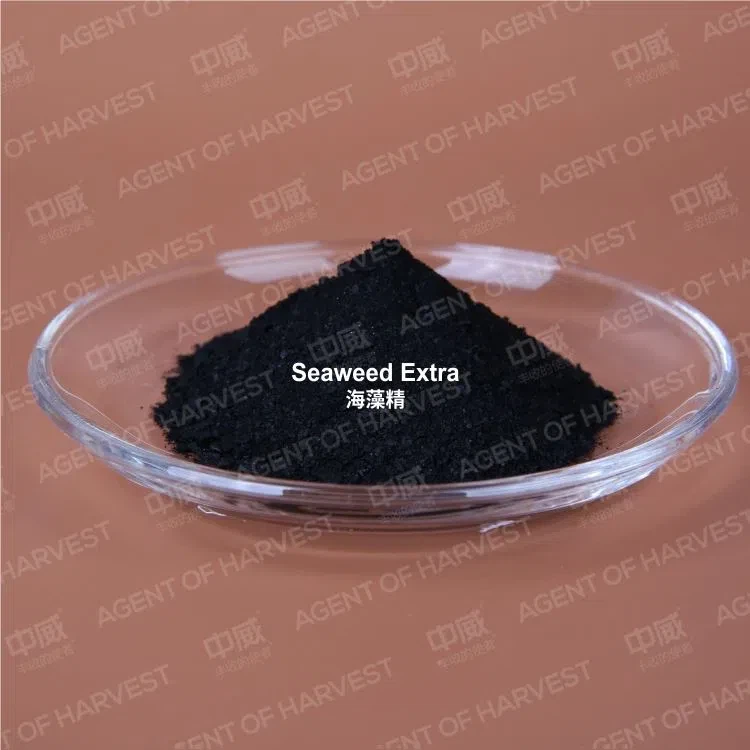 seaweed-extra-seaweed-fertilizer-plant36591225944