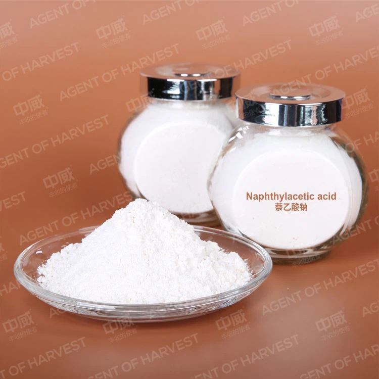 CAS 61-31-4 Plant Growth Regulator Na-Naa 98%Tc